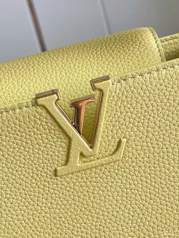 Affordable BB LOUIS VUITTON CAPUCINES 0207